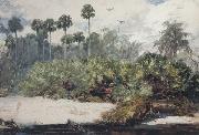 Winslow Homer, In a Florida Jungle (mk44)